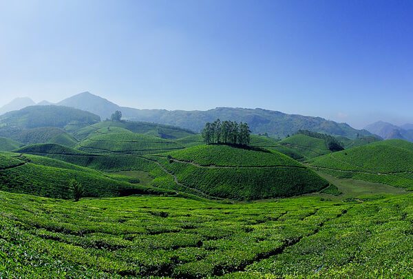 Kerala Launches New Eco-Tourism Initiative in 2026